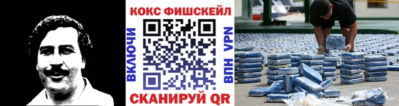 Cocaine FishScale  Купить закладки  Верхняя Тура 