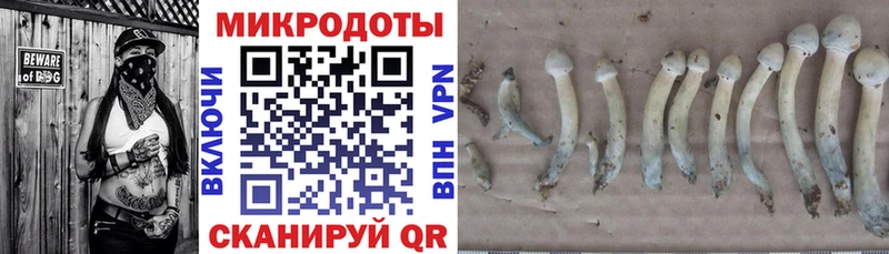 Псилоцибиновые грибы прущие грибы  Купить где  Верхняя Тура 